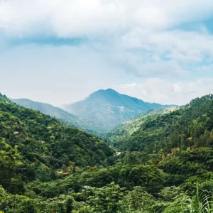 Blue Mountain